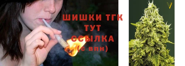 МДПВ Медвежьегорск