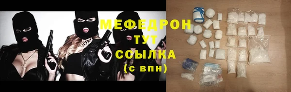 индика Бронницы