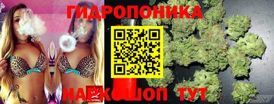 трава Гусиноозёрск