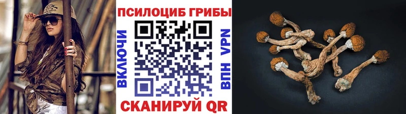 Псилоцибиновые грибы ЛСД  блэк спрут вход  Канаш 