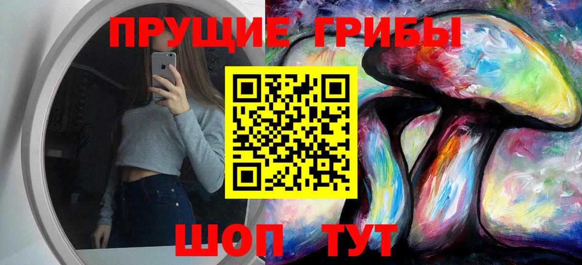 Галлюциногенные грибы Cubensis Канаш