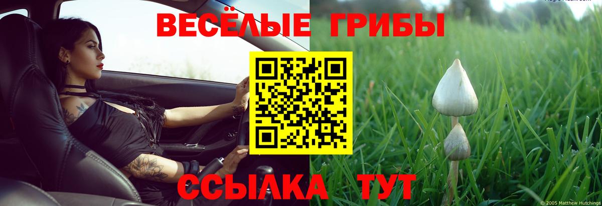 Псилоцибиновые грибы Psilocybine cubensis  Псилоцибиновые грибы Cubensis  Вход с VPN  Канаш 