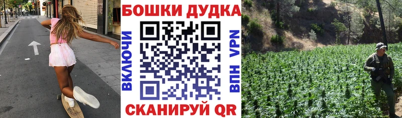Конопля гибрид Канаш
